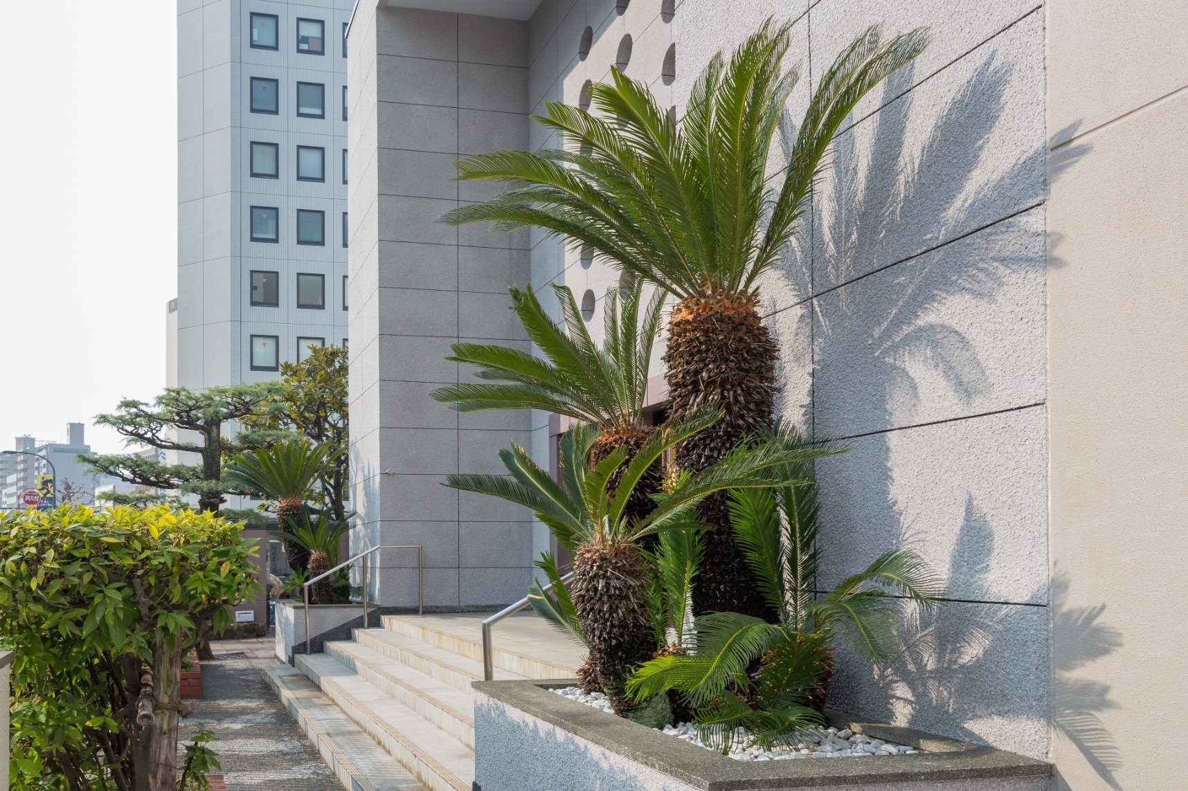 ⛩️ 텐다이슈 안코지 (다카쓰키칸논) 이미지 3